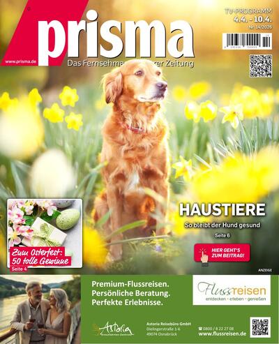 Prisma 2026-03-31