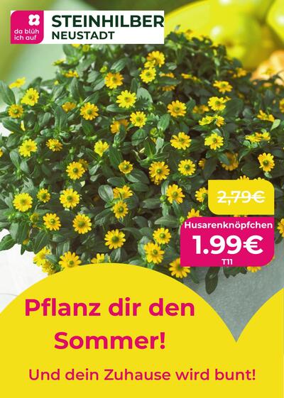 Beilage 2026-04-30