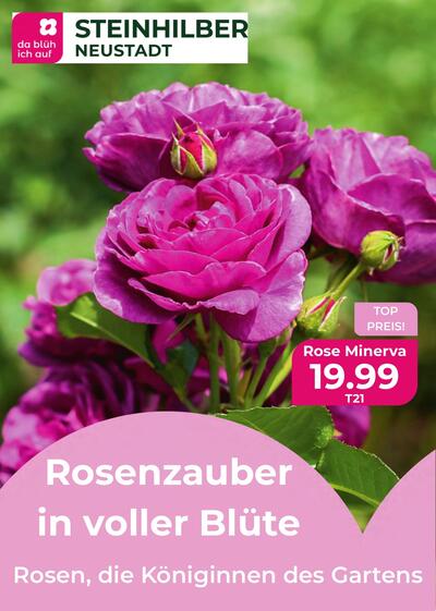 Beilage 2026-06-02